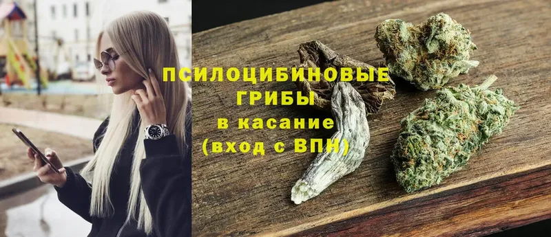 сколько стоит  Когалым  Галлюциногенные грибы MAGIC MUSHROOMS 